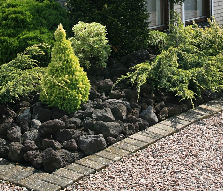 楽天市場】溶岩石 庭石 黒 溶岩 石 ロックガーデン ブラックカル 10kg