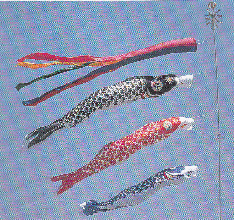 こいのぼり 東レ シルック」の人気商品一覧 | 安い商品を通販サイト