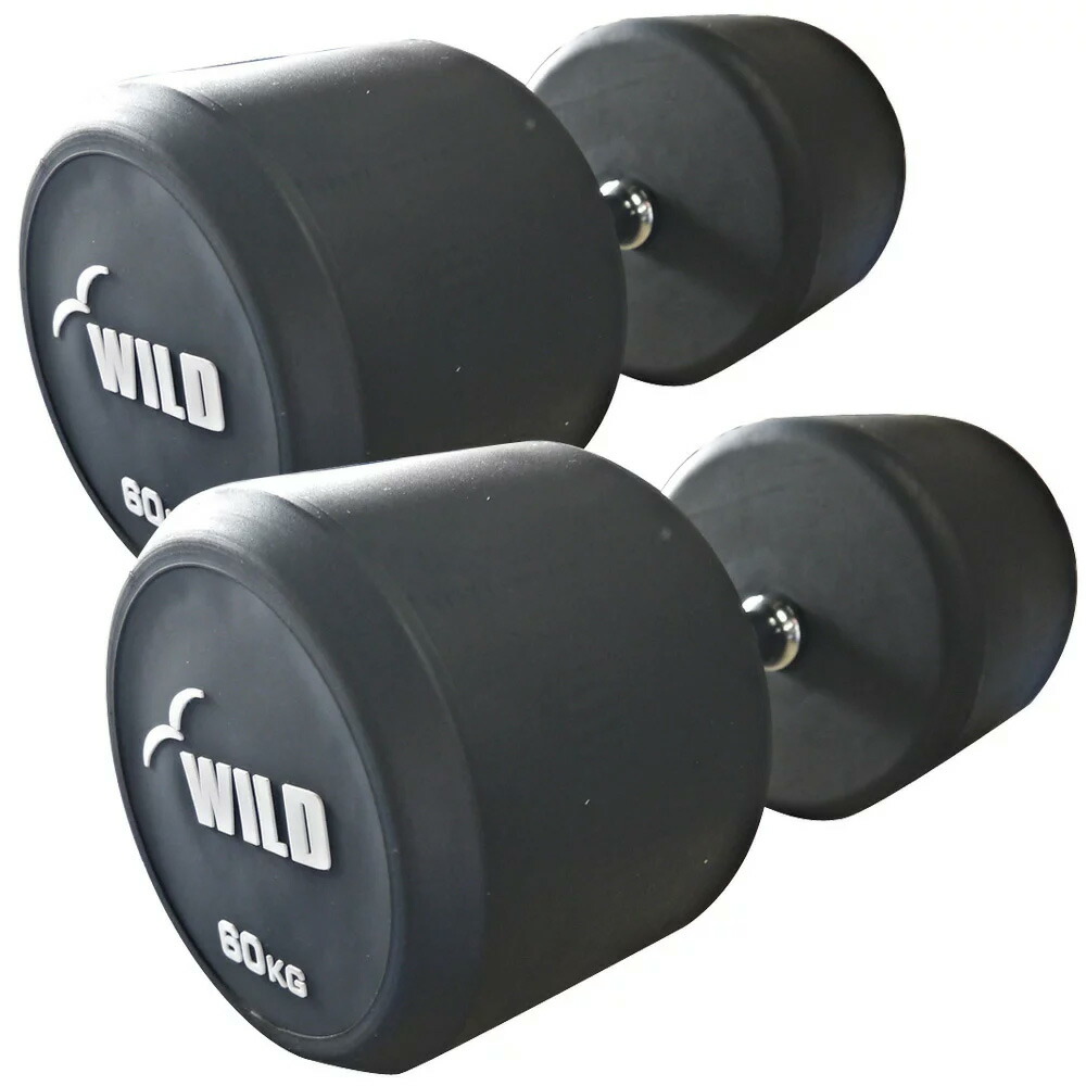 楽天市場】[WILD FIT Premium] 固定式ダンベル 60kg WF 2本セット
