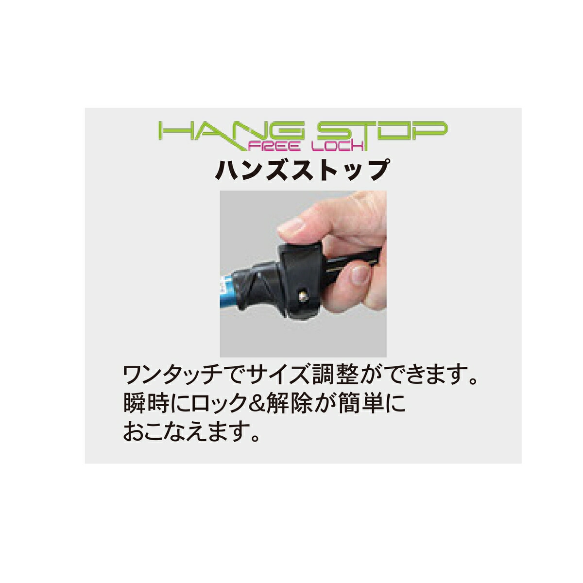 楽天市場】ZASSO オリジナル スキー ポール ノベルティ付き ザッソ 22