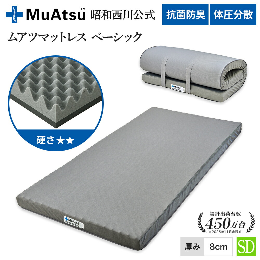 楽天市場】西川 エアー セミダブルの通販