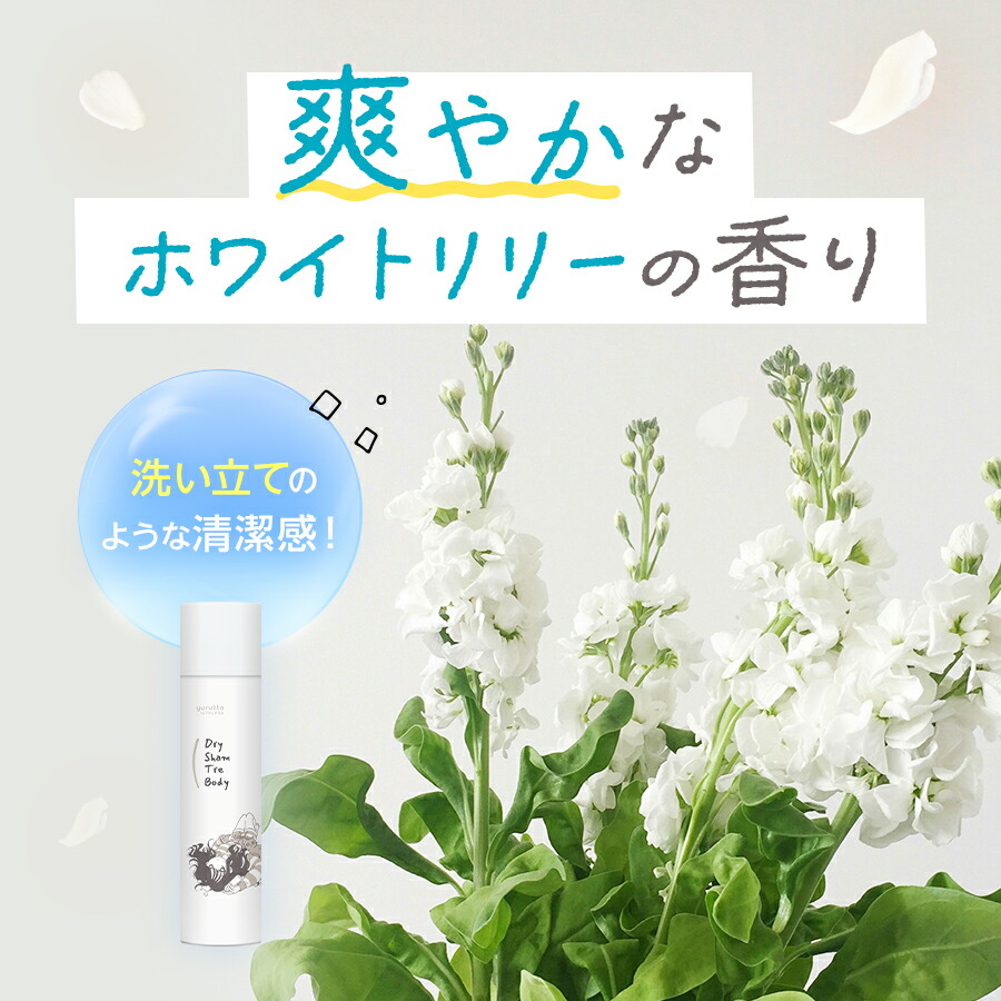 楽天市場】【まとめ買いで最大20%OFF‼︎19日20時～23日1時59分まで