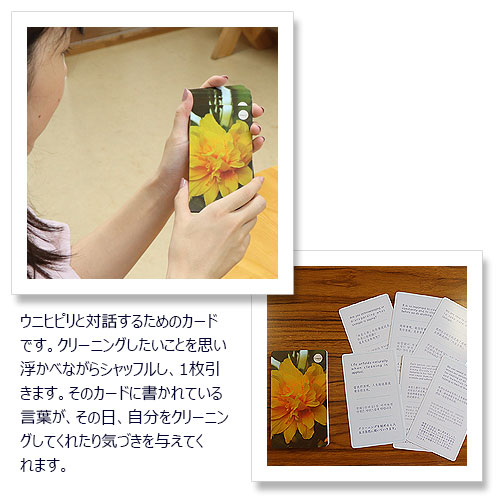 楽天市場】ホ・オポノポノ Ceeport クリーニングカード : トータル