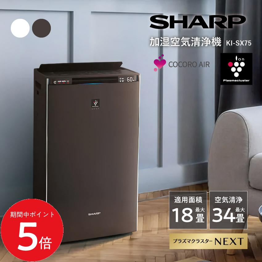 楽天市場】2/19 20:00〜 当店限定P5倍 × 楽天マラソン ◇【購入者全員