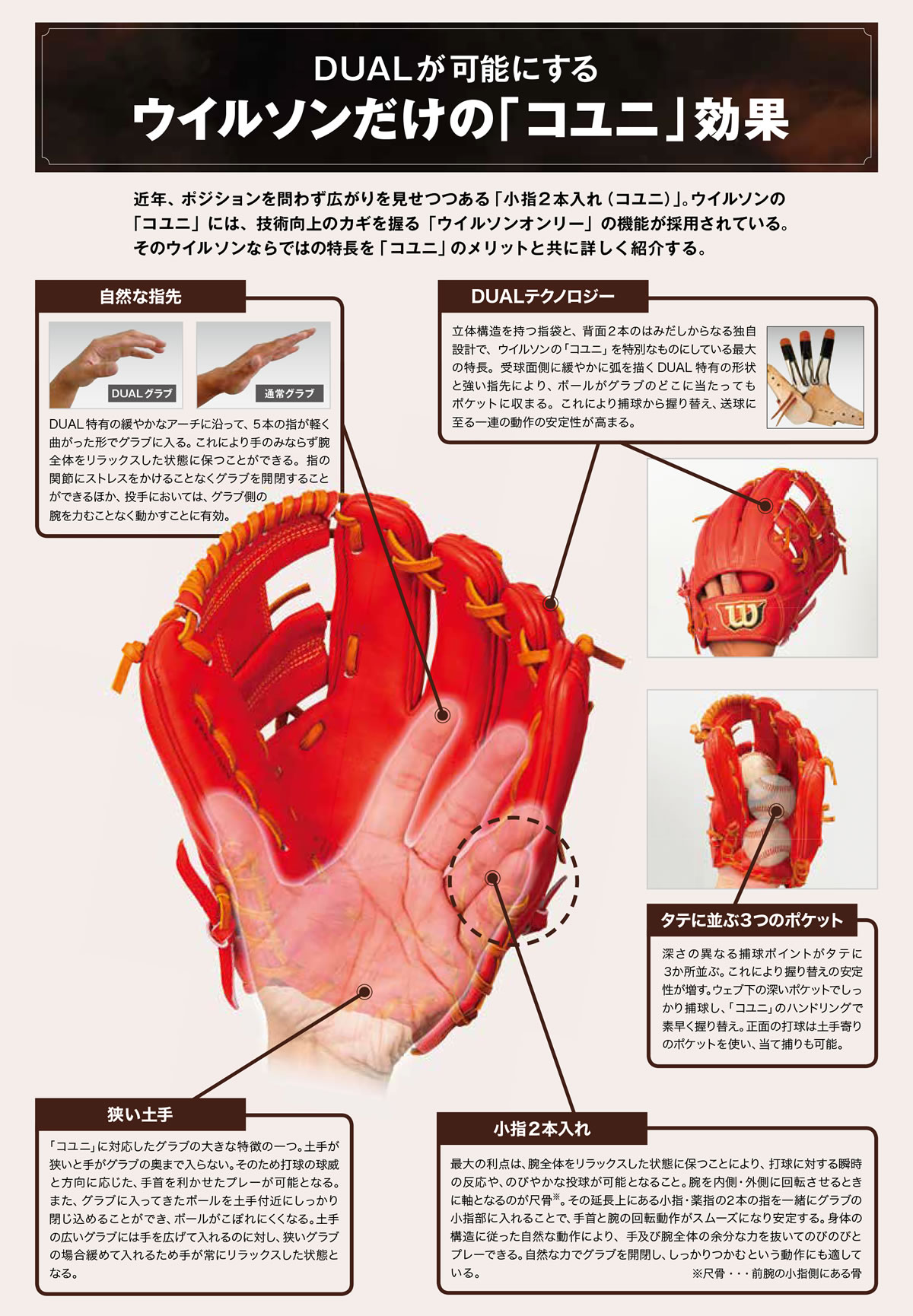 楽天市場】＜受注生産＞ウイルソン（Wilson） 軟式用オーダーグラブ