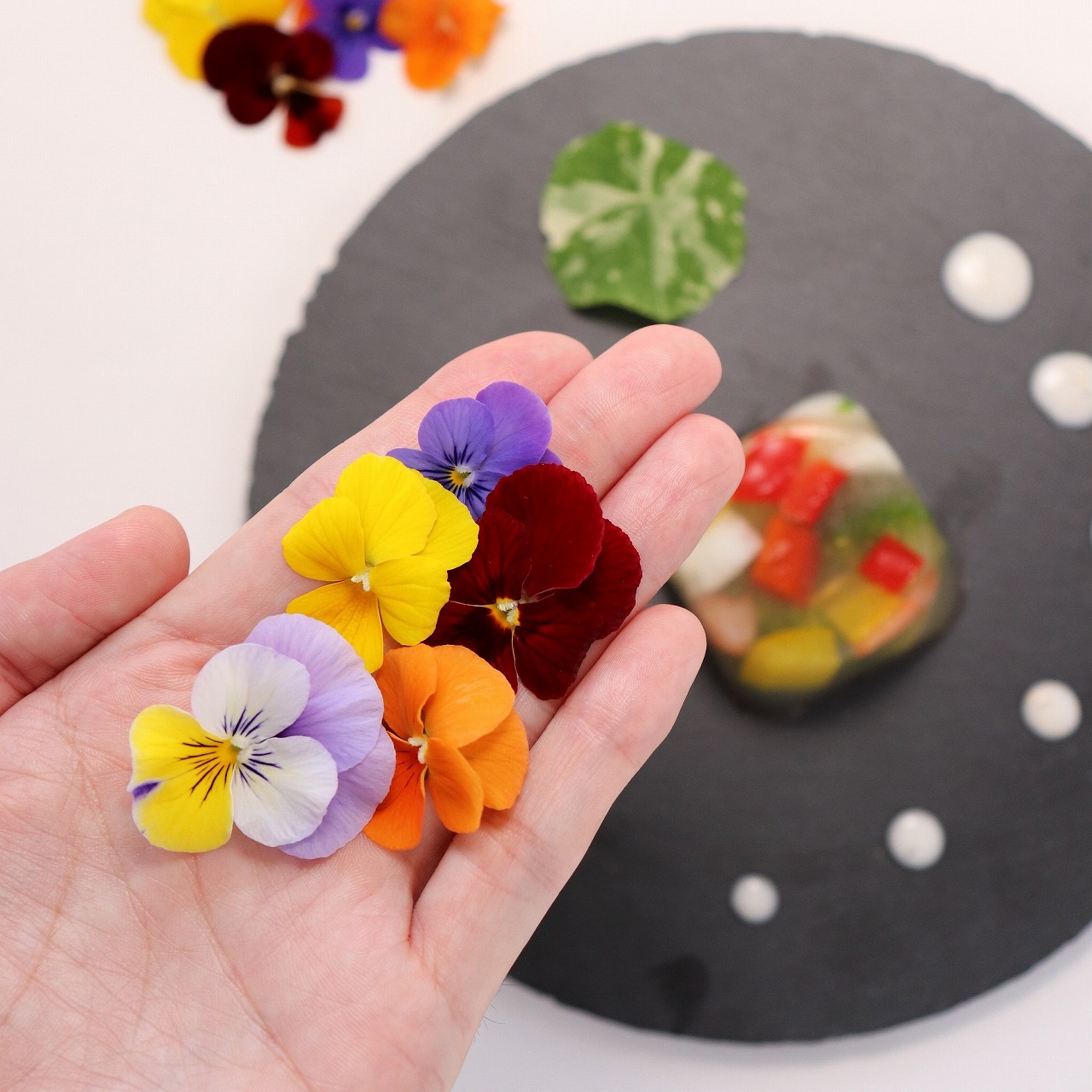 楽天市場】うずの華【植物工場産】食用花 エディブルフラワー (ビオラ