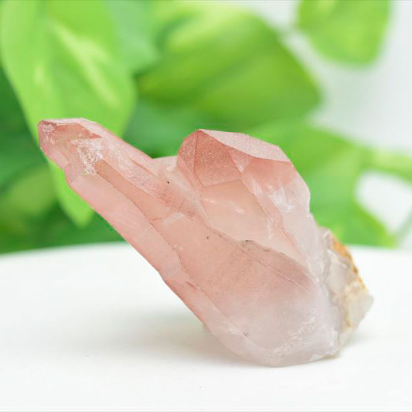 楽天市場】◇限定◇ ピンクレムリアン 非研磨 レムリアンシード