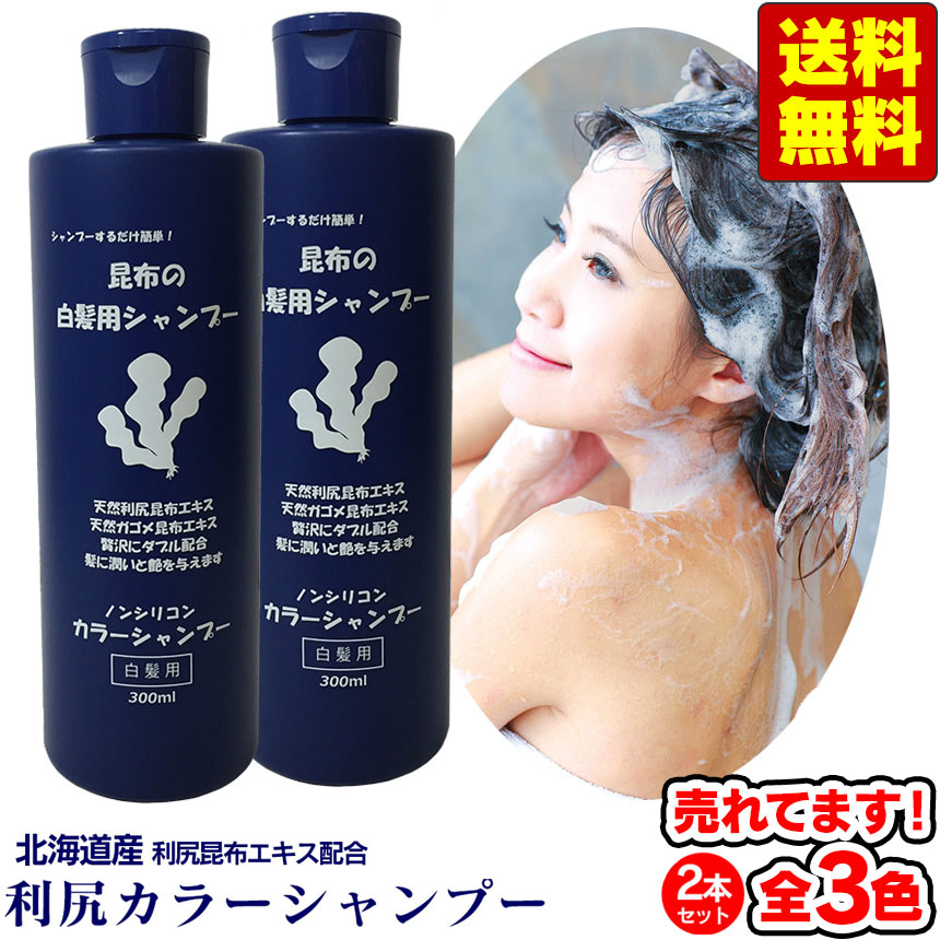 Sastty サスティ 利尻カラーシャンプー ブラック500mlx2