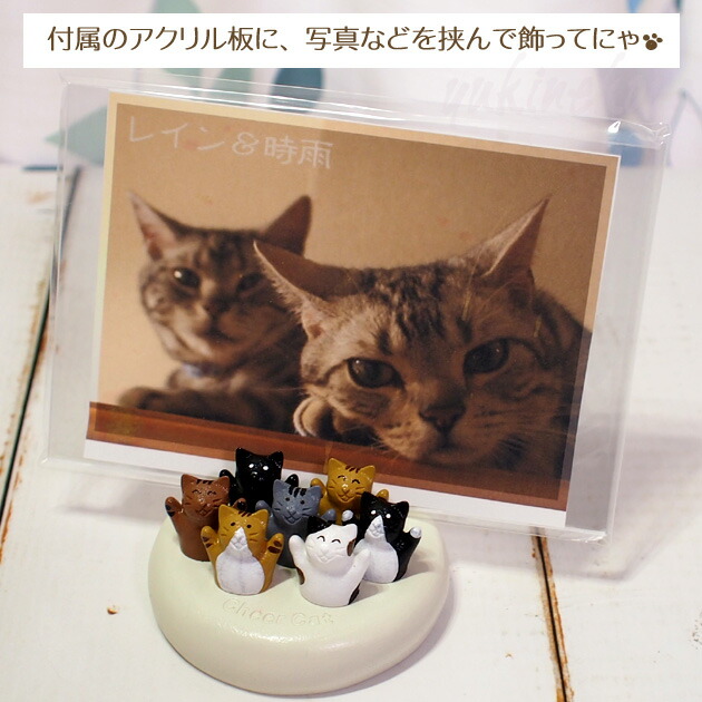 楽天市場】猫の写真立て フォトフレーム チアキャット7匹 カード