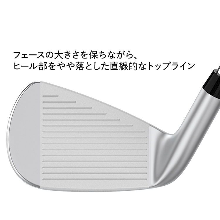 楽天市場】ダンロップ ゼクシオ エックス XXIO X-eks- アイアン セット