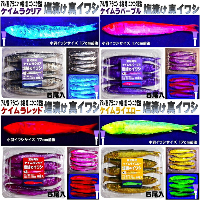 楽天市場】テンヤ タチウオ テンヤ イワシ ケイムラ 4色 ツートン