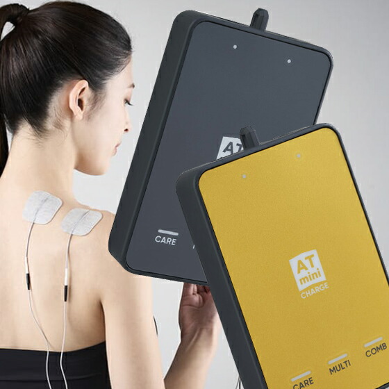 楽天市場】☆ポイント10倍＋クーポンで2500円OFF☆ AT mini CHARGE