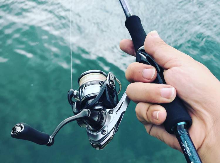 18 カルディア LT2000Sのスペック | 釣りクラウド