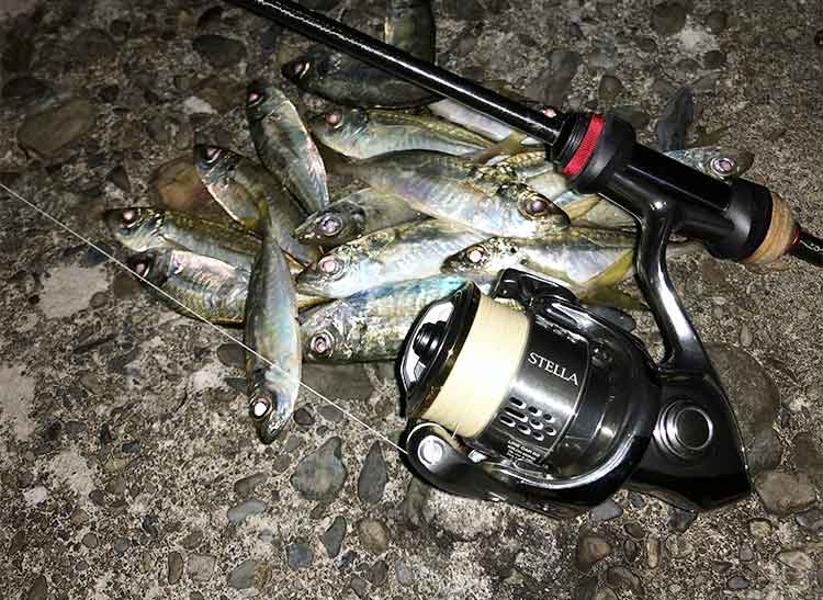 18 ステラ C2000Sのスペックとインプレ | 釣りクラウド
