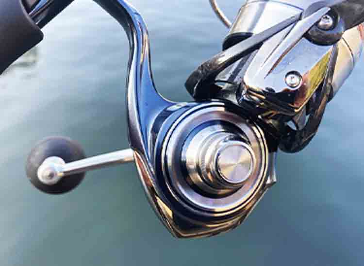 19セルテート LT5000D-XH DAIWA（釣り） 19 セルテート LT5000D-XH