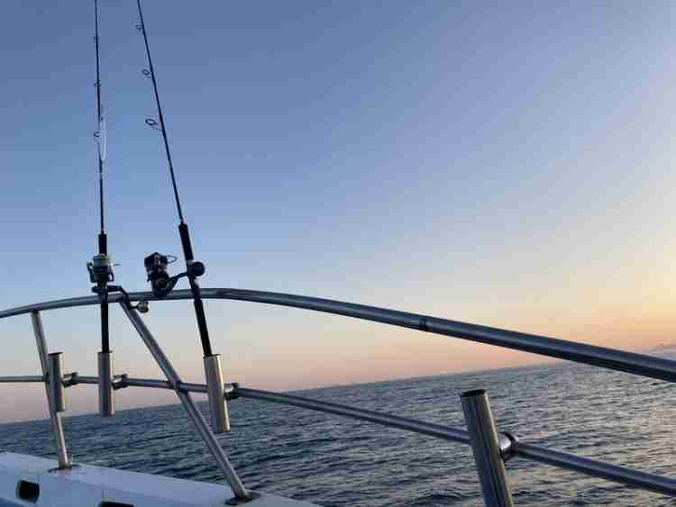 20 ソルティガ 8000-Pのスペックとインプレ | 釣りクラウド