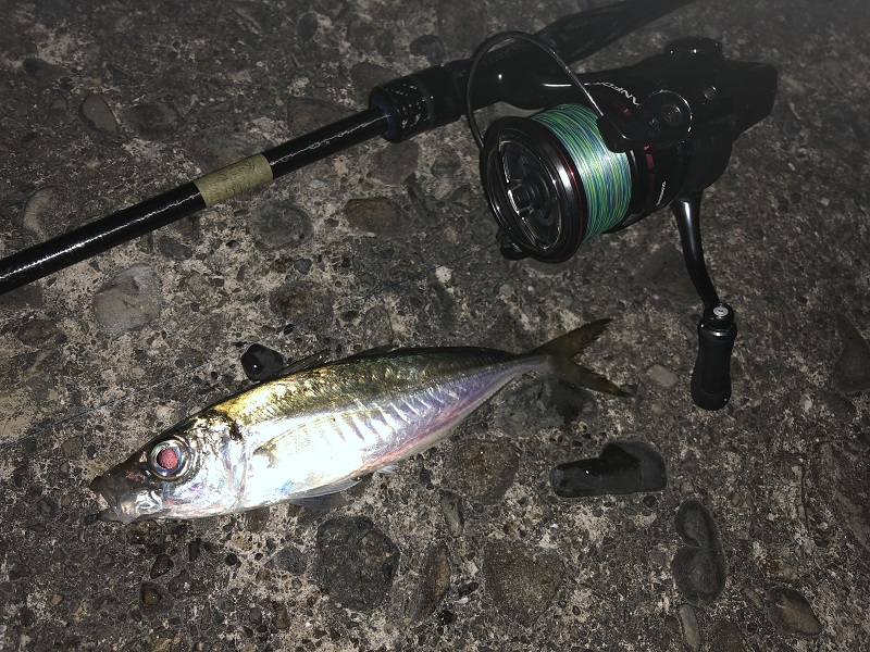 20 ヴァンフォード C3000のスペックとインプレ | 釣りクラウド