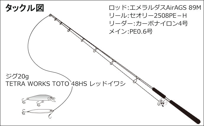 エギングタックルでスーパーライトショアジギング（SLS） 青物手中
