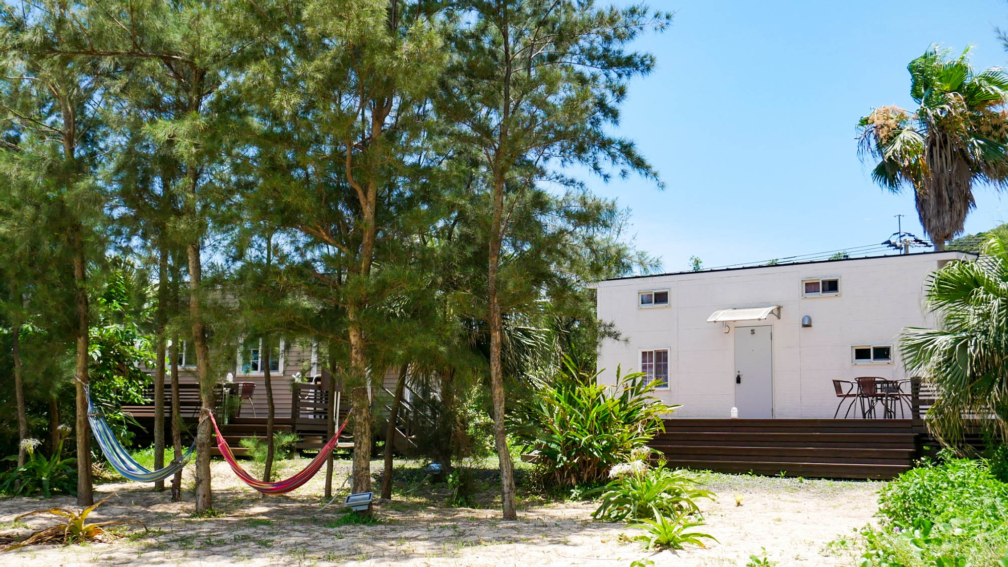 Le GRAND BLEU（ル・グランブルー）＜奄美大島＞ 宿泊予約