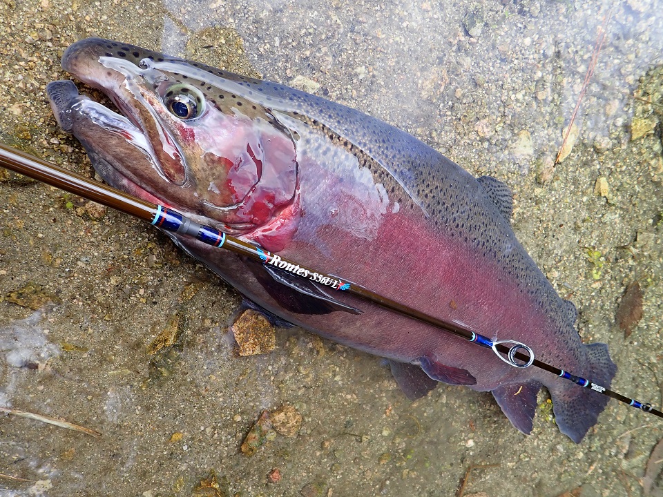 TULALA | Ford every stream | » 【STAFF】パックロッドシリーズ