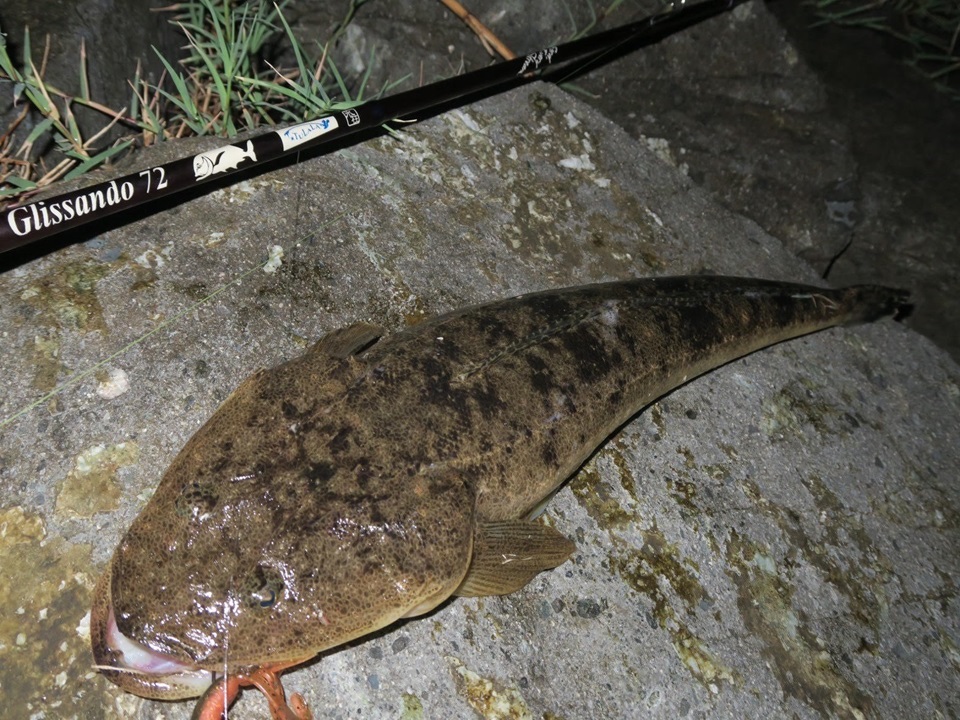 TULALA | Ford every stream | » 【STAFF】山陰スタッフ”ショニキ”の