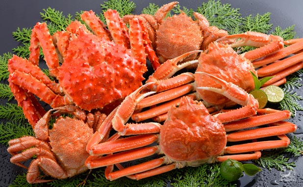 🦀蟹についての雑学・豆知識｜ふるさと産直村