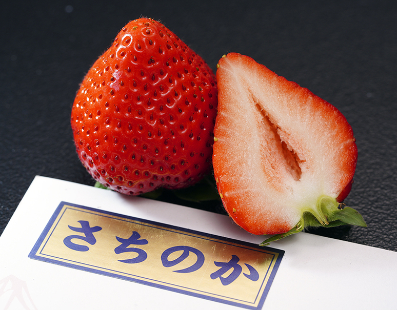 竹内農園 LEDいちご「とくしまいちご（品種 さちのか）」徳島県産 約