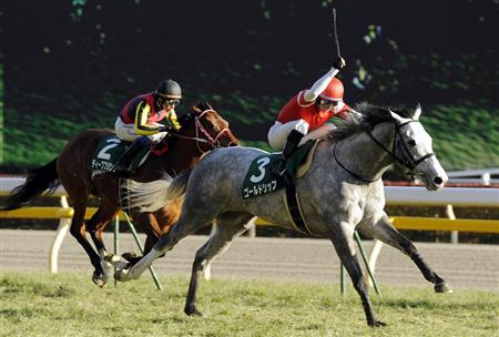 共同通信杯】ゴールドシップ重賞初制覇！｜競馬ニュース｜競馬予想の