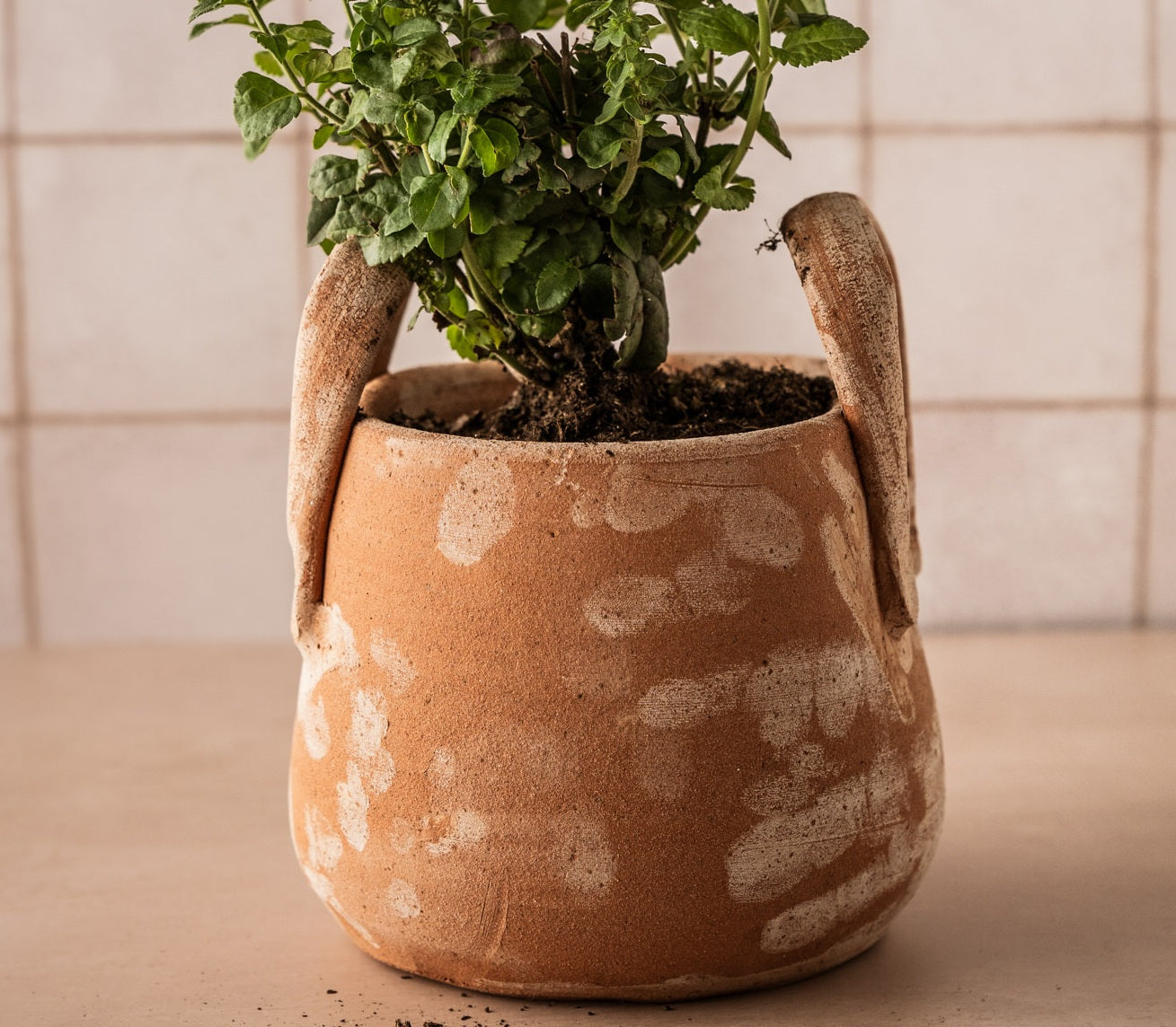 TUSCAN POT WITH HANDLES — Uashmama