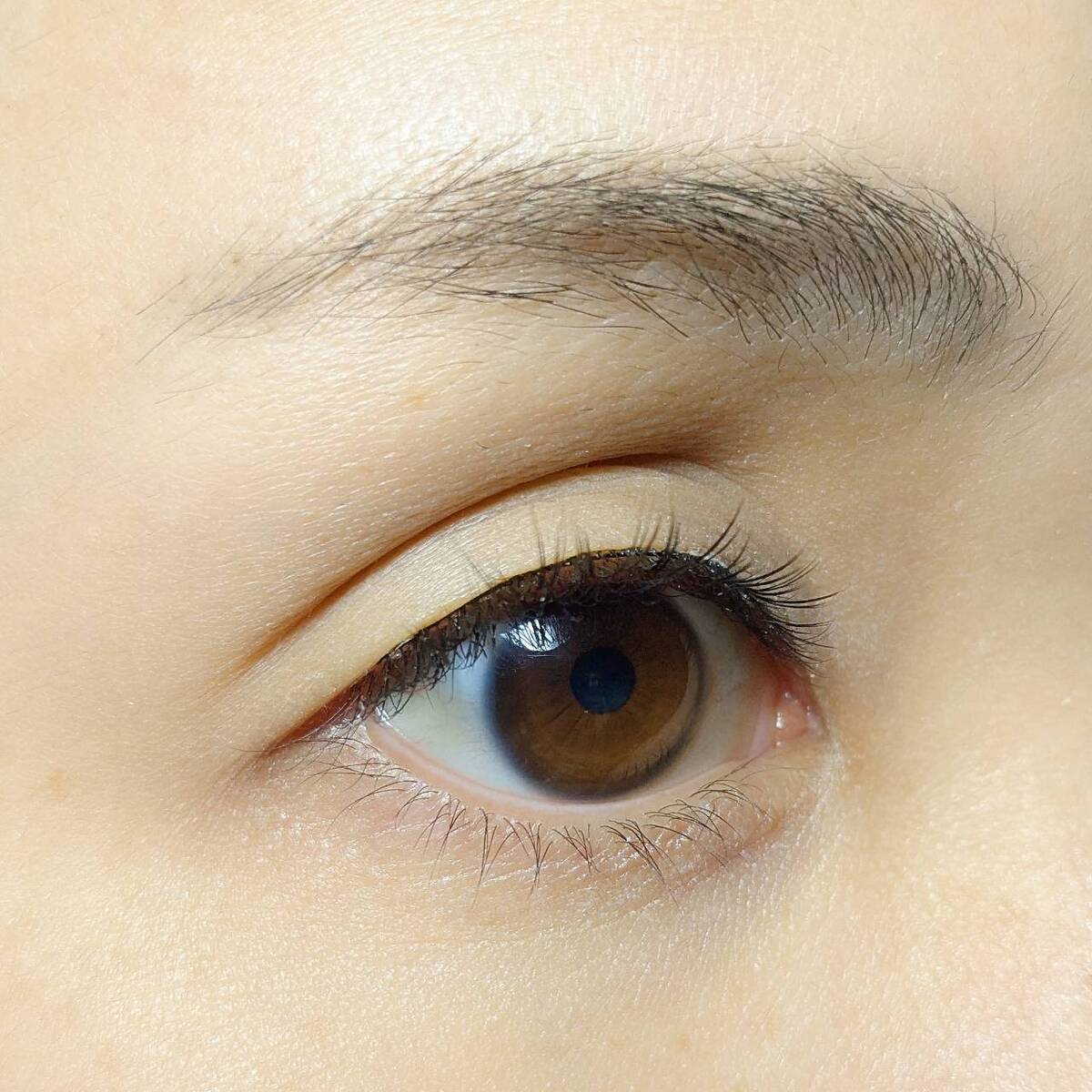 付けまつげ LJ 内緒のつけまつげ 01 ネコ目ナチュラル 042114