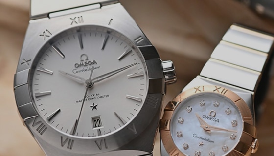 カルティエ タンク マスト SM WSTA0042 シルバー レディース 時計