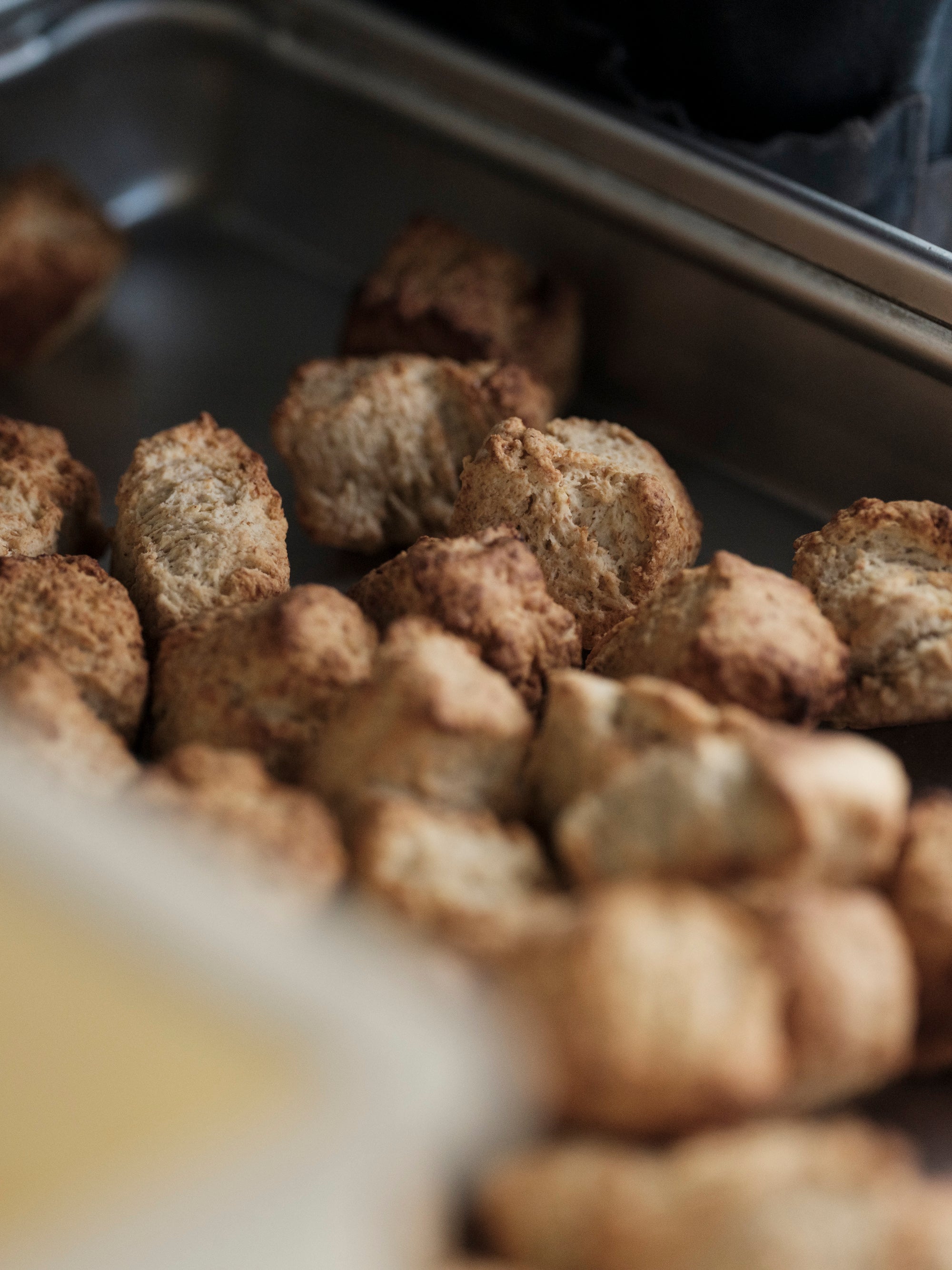 20241011-11.jpg?v=1728959452&