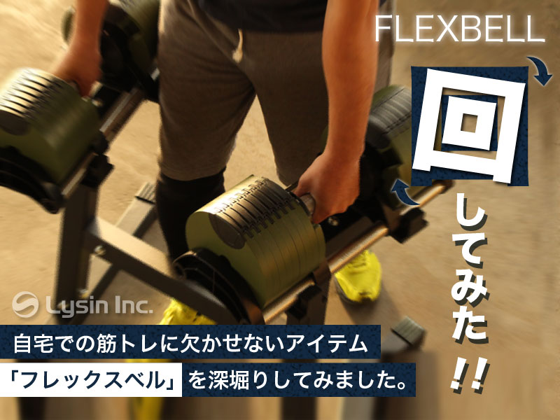 スタッフレビュー|第3回 ダンベルスタンド考察 ｜身長別（150cm～181cm