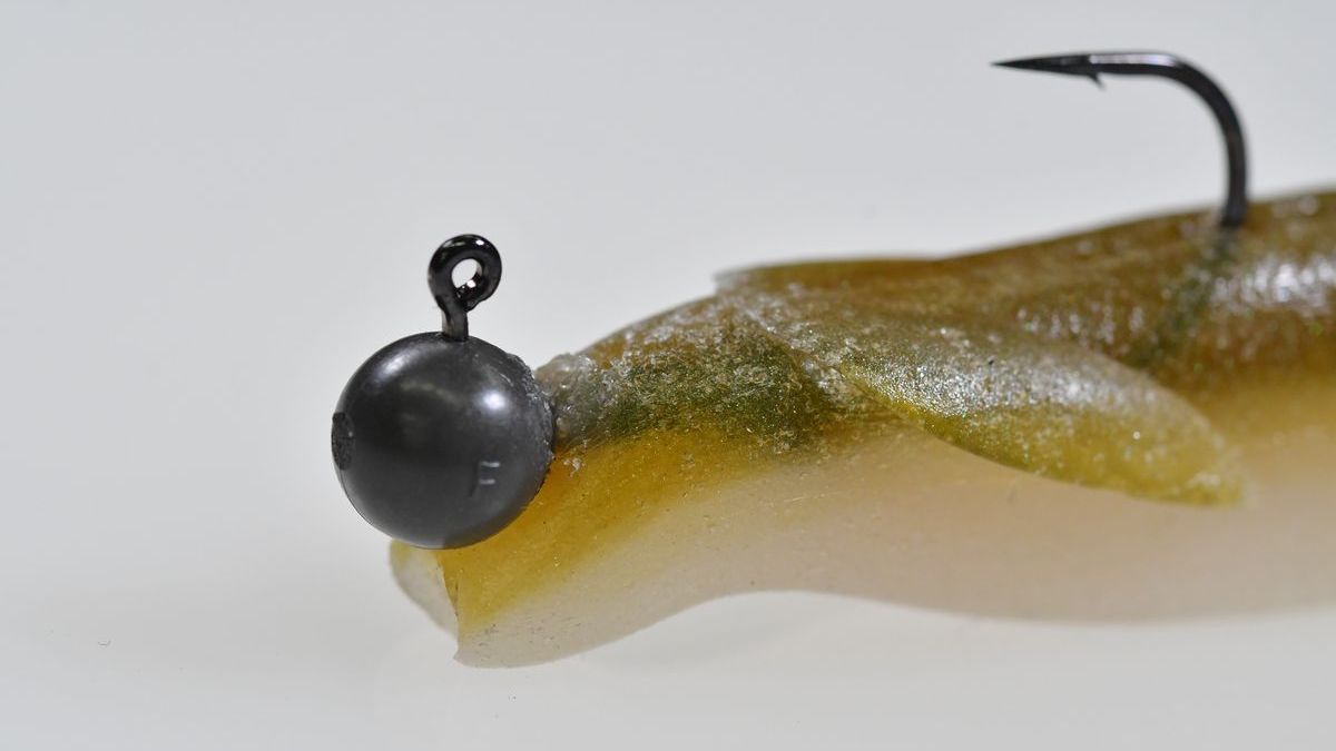 サカマタシャッドの真実に迫る4 人の証言：黒田健史さん | つり人