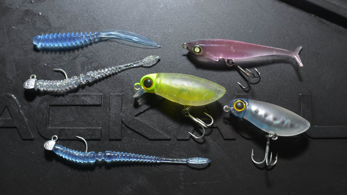 大分県臼杵(うすき)市／ルアーで釣るアジ、メバル、クロダイ その1(全2