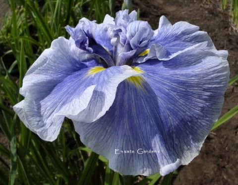 JiLakeEffect < Ji < Iris Wiki