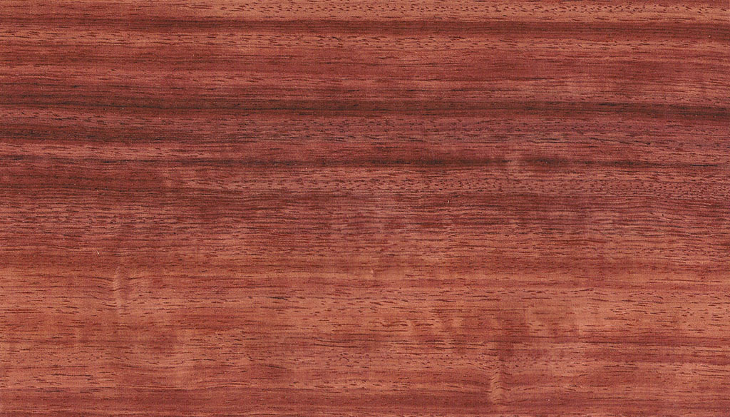 カリン | 木材博物館