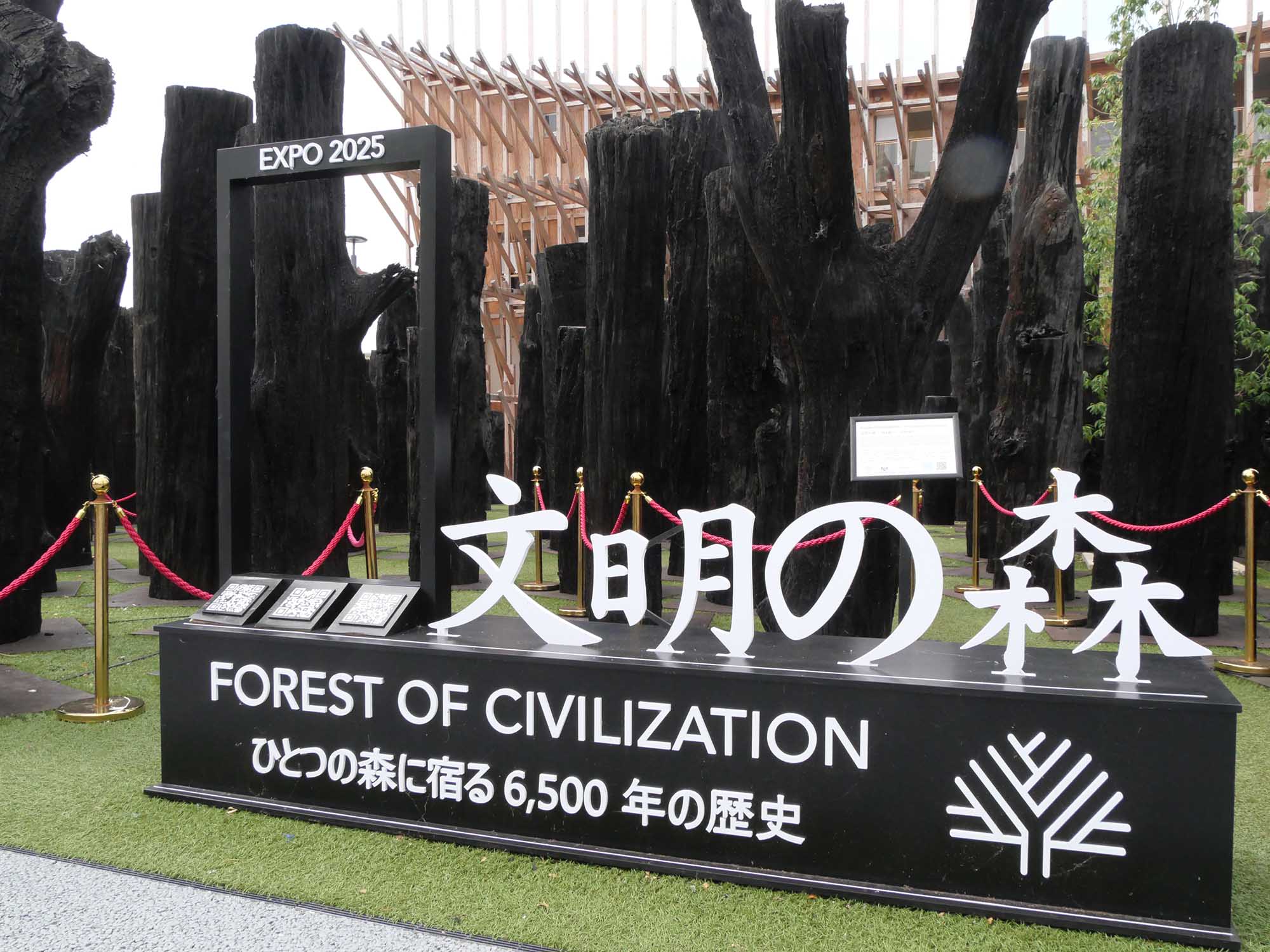 文明の森|2025年大阪・関西万博|日本万国博覧会と木のかかわり|12.木の