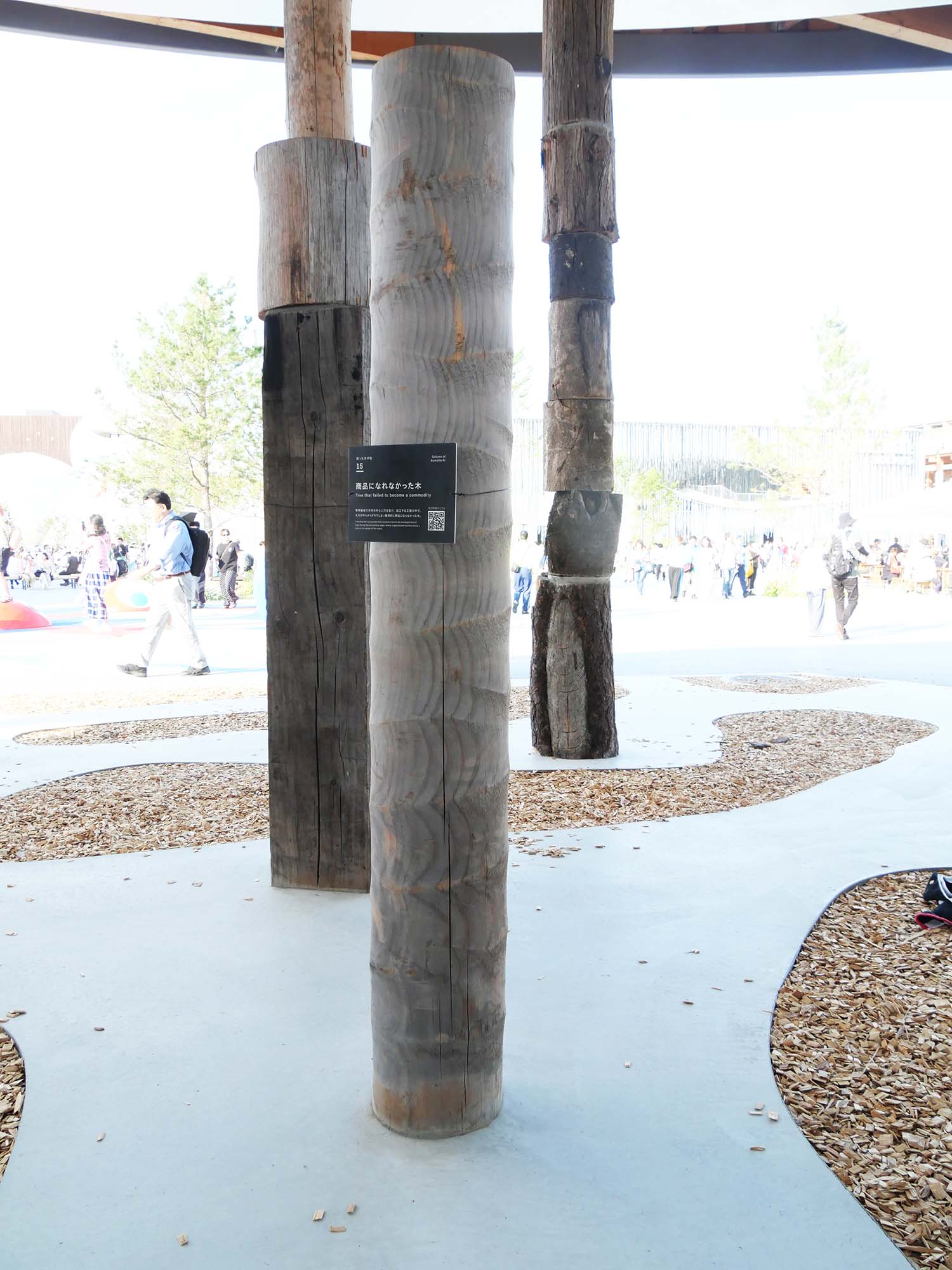 サテライトスタジオ東|2025年大阪・関西万博|日本万国博覧会と木の