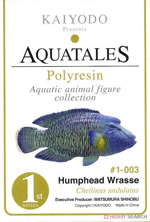 アクアランド 海洋堂 メガネモチノウオ アクアテイルズ