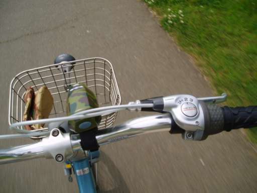 リカンベント ジャイアントリバイブ