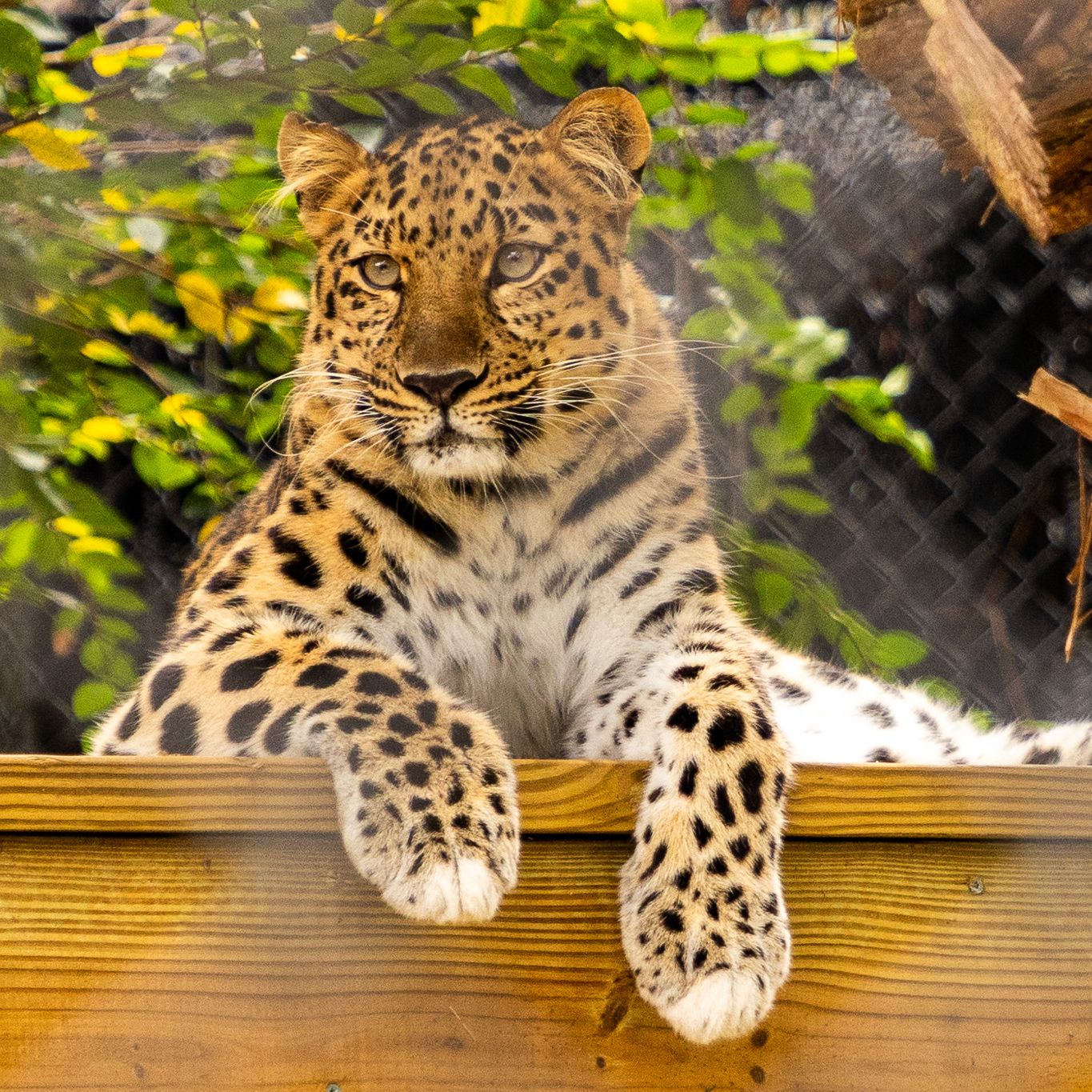 Central Florida Zoo & Botanical Gardens Central Florida Zoo