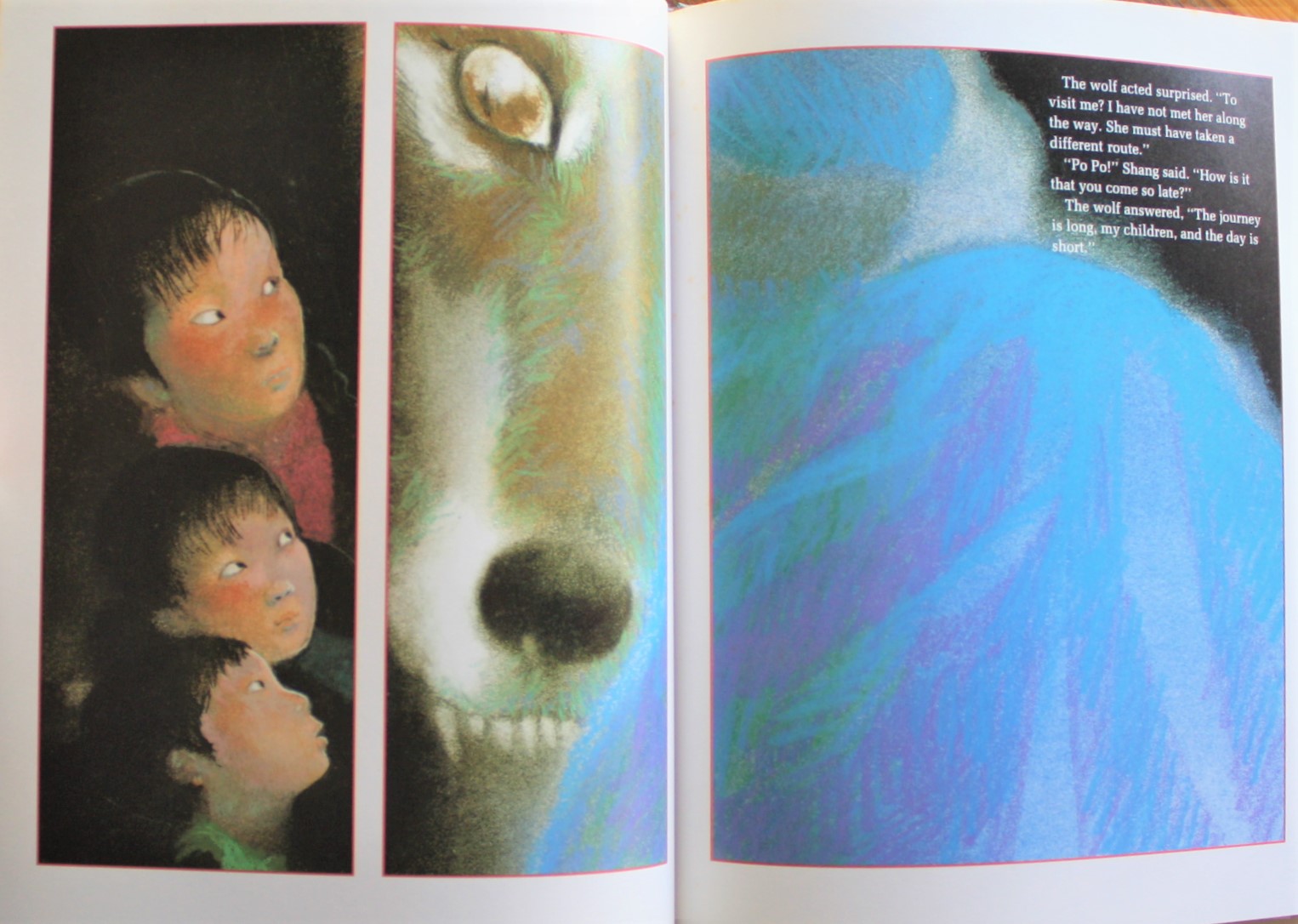 しろいうし）Eddyの絵本セット25冊 しろいうし）Eddyの絵本セット