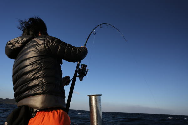 カーペンター 幻影