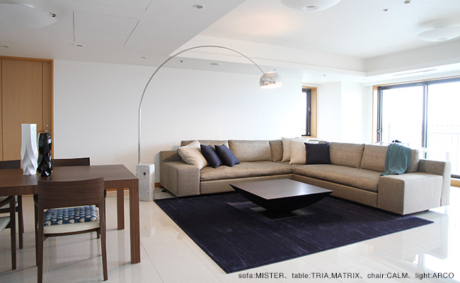 AIR FRAME 3005 DEN(エアーフレーム3005 デンデスク） IXC