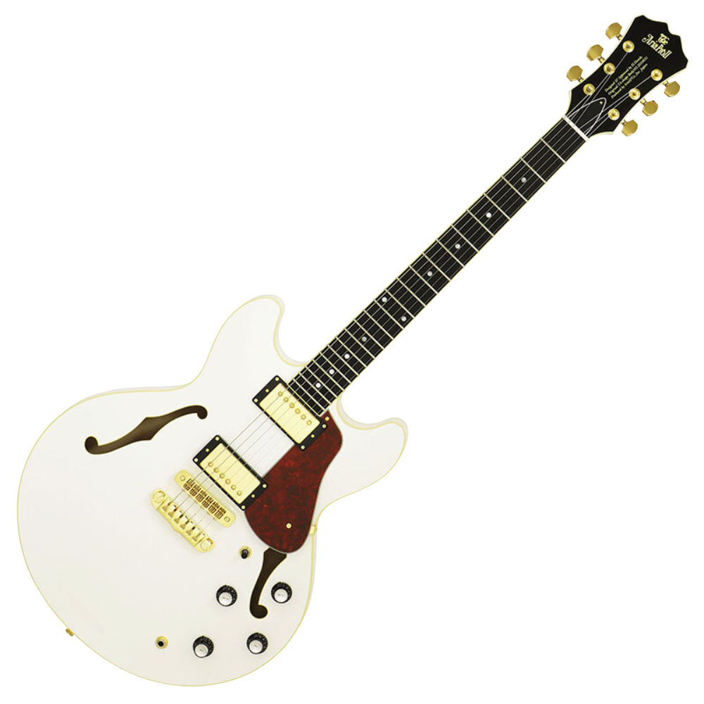 Aria Pro II TA-03 セミアコ アリアプロ ソフトケース付き Aria Pro II