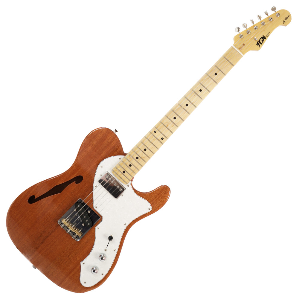 フジゲン エレキギター FUJIGEN FGN NTE110MMHT NT シンライン Neo