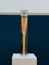 聖火リレートーチ市町村巡回展示 - 田村市ホームページ