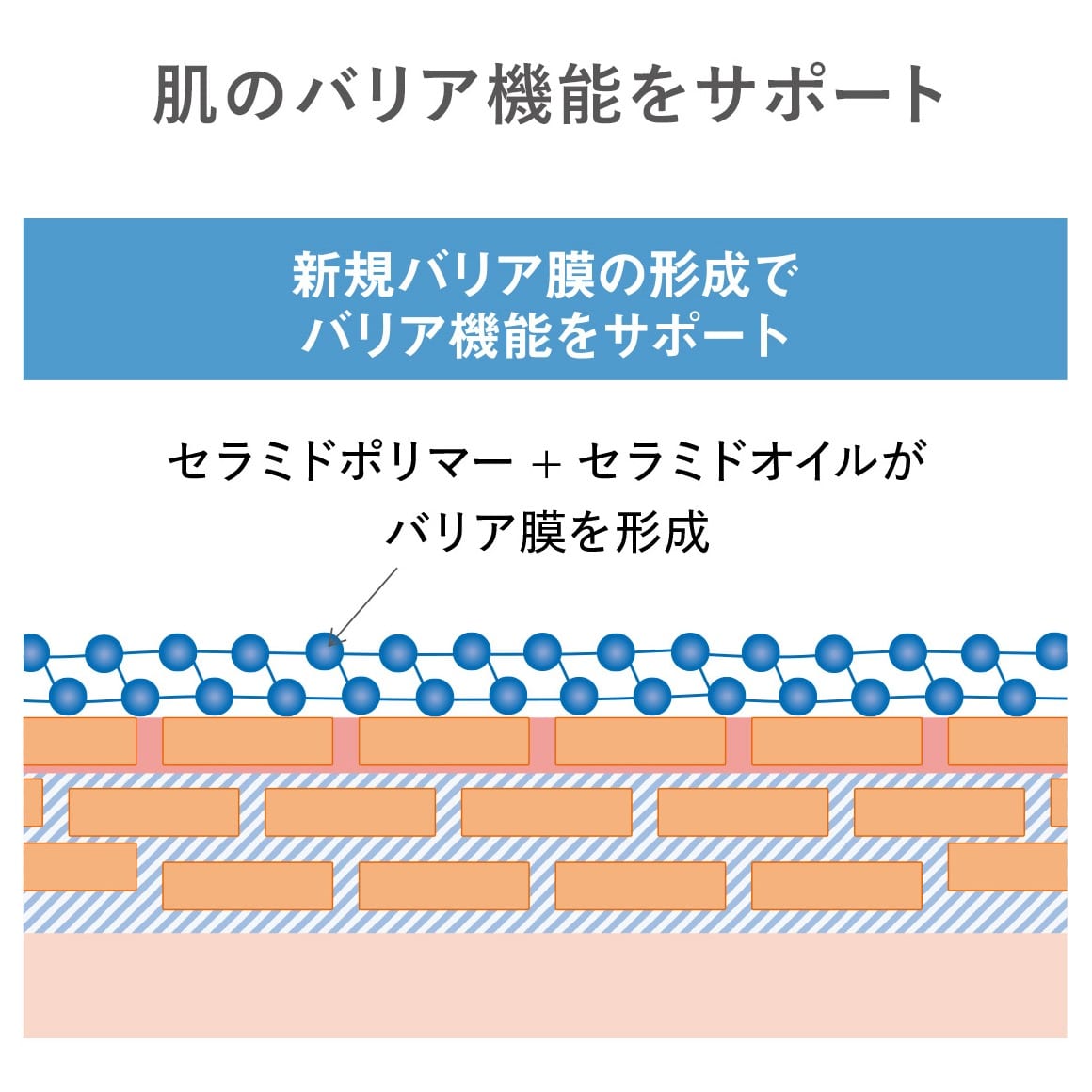 イプノス シーバムクリア リペアセラム ＜医薬部外品＞(50g): 全製品