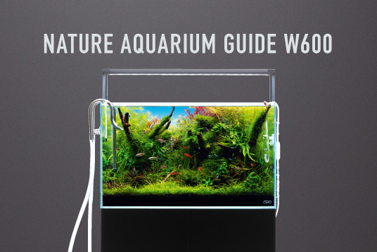 DOOA ソルスタンド RGB 発売のお知らせ | ADA - NEWS RELEASE